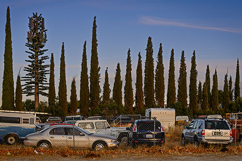 Cypress Row, Littlerock, CA