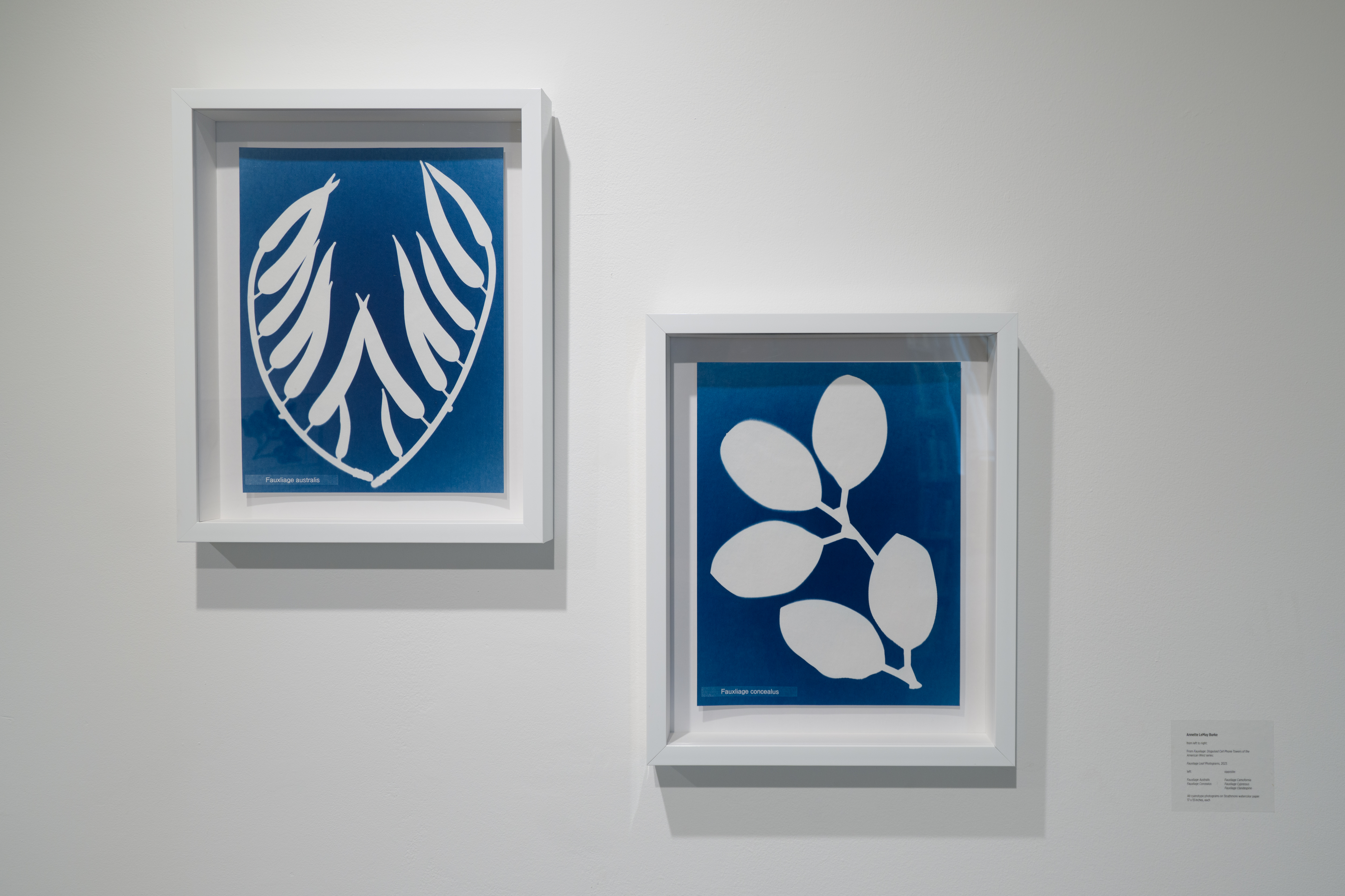 If Memory Serves at the Brand Gallery